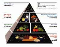 Food Pyramid